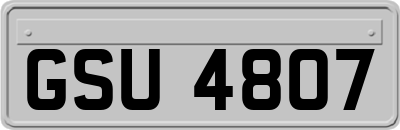 GSU4807