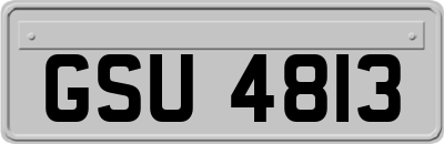 GSU4813