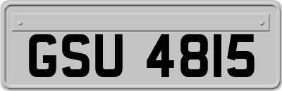 GSU4815