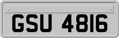 GSU4816