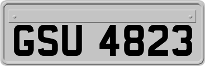 GSU4823