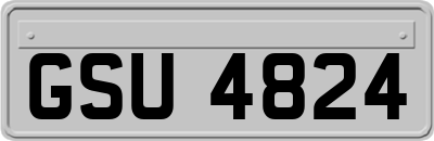 GSU4824