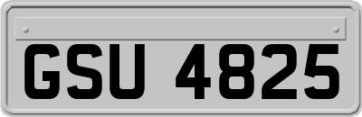 GSU4825