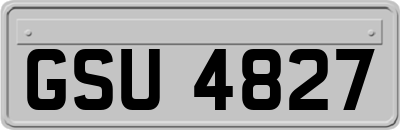 GSU4827