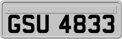 GSU4833