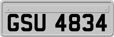 GSU4834