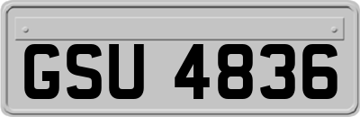 GSU4836