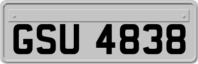 GSU4838