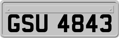 GSU4843