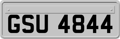 GSU4844