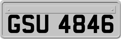 GSU4846