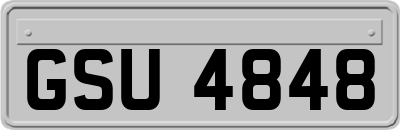 GSU4848