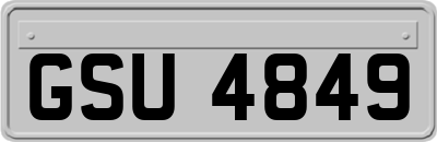 GSU4849