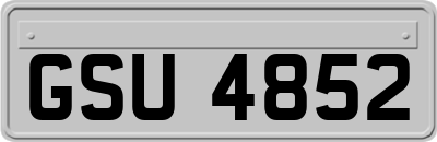GSU4852