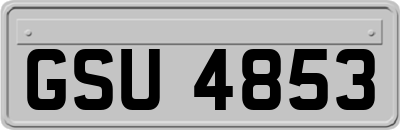 GSU4853