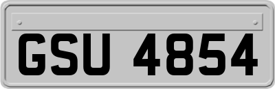 GSU4854