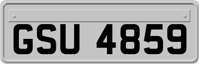 GSU4859