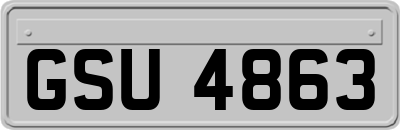 GSU4863