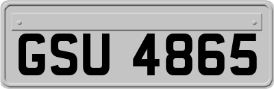 GSU4865