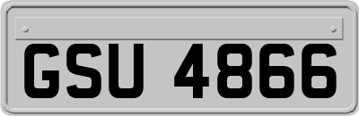 GSU4866