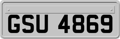 GSU4869