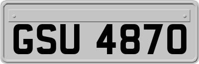 GSU4870
