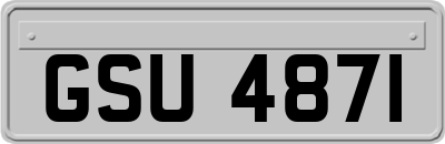 GSU4871