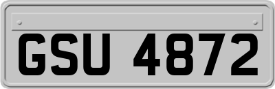 GSU4872