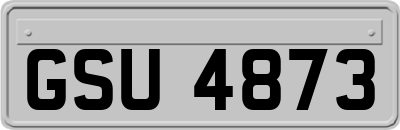 GSU4873