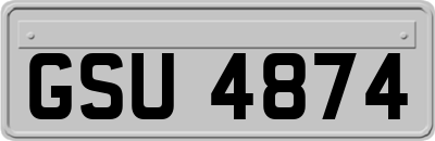 GSU4874