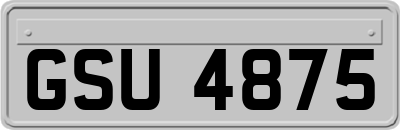 GSU4875