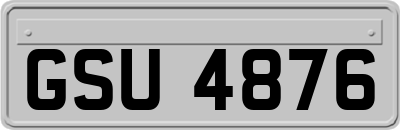GSU4876