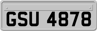 GSU4878