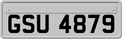 GSU4879