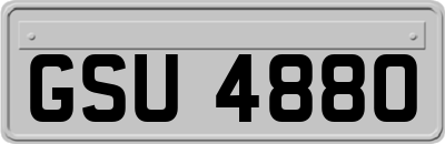 GSU4880