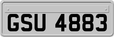 GSU4883