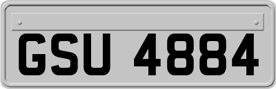 GSU4884