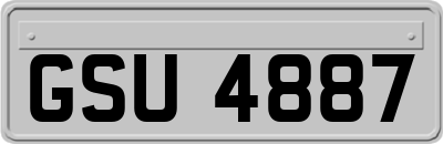 GSU4887