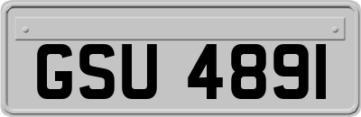 GSU4891