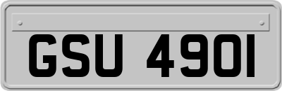 GSU4901