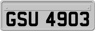 GSU4903