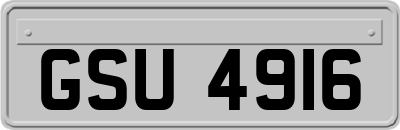 GSU4916