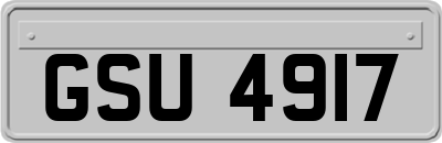 GSU4917