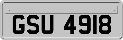 GSU4918