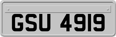 GSU4919