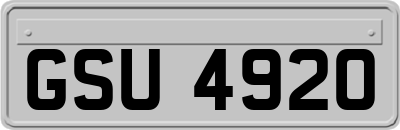 GSU4920