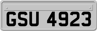 GSU4923