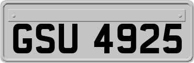 GSU4925