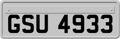 GSU4933