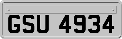 GSU4934